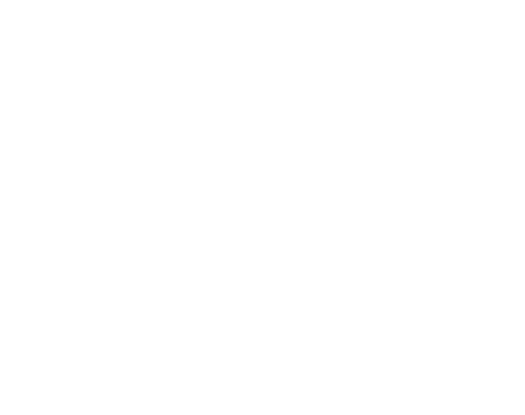 Academy Place Apartments Logo